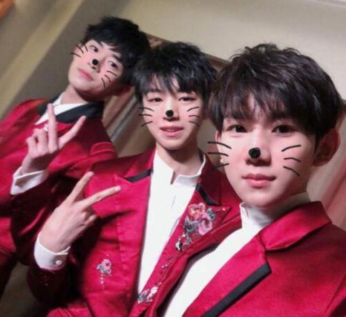 娱乐圈爆料王源恋爱史在线观看,娱乐圈爆料王源情史全记录