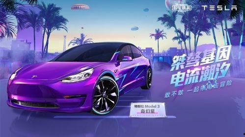 最新爆料特斯拉皮肤,揭秘未来汽车个性化定制新潮流